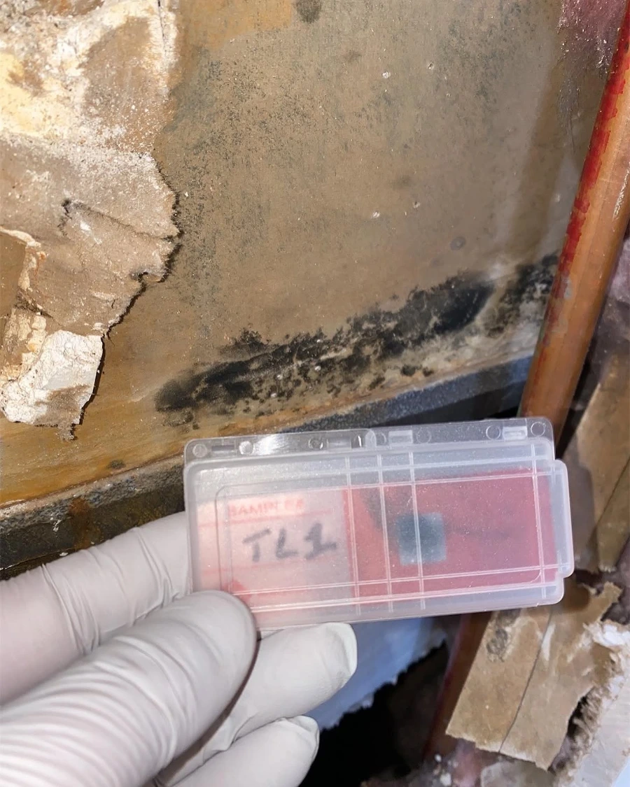 Minneapolis basement stripped to the studs with mold staining and drying equipment venting outside