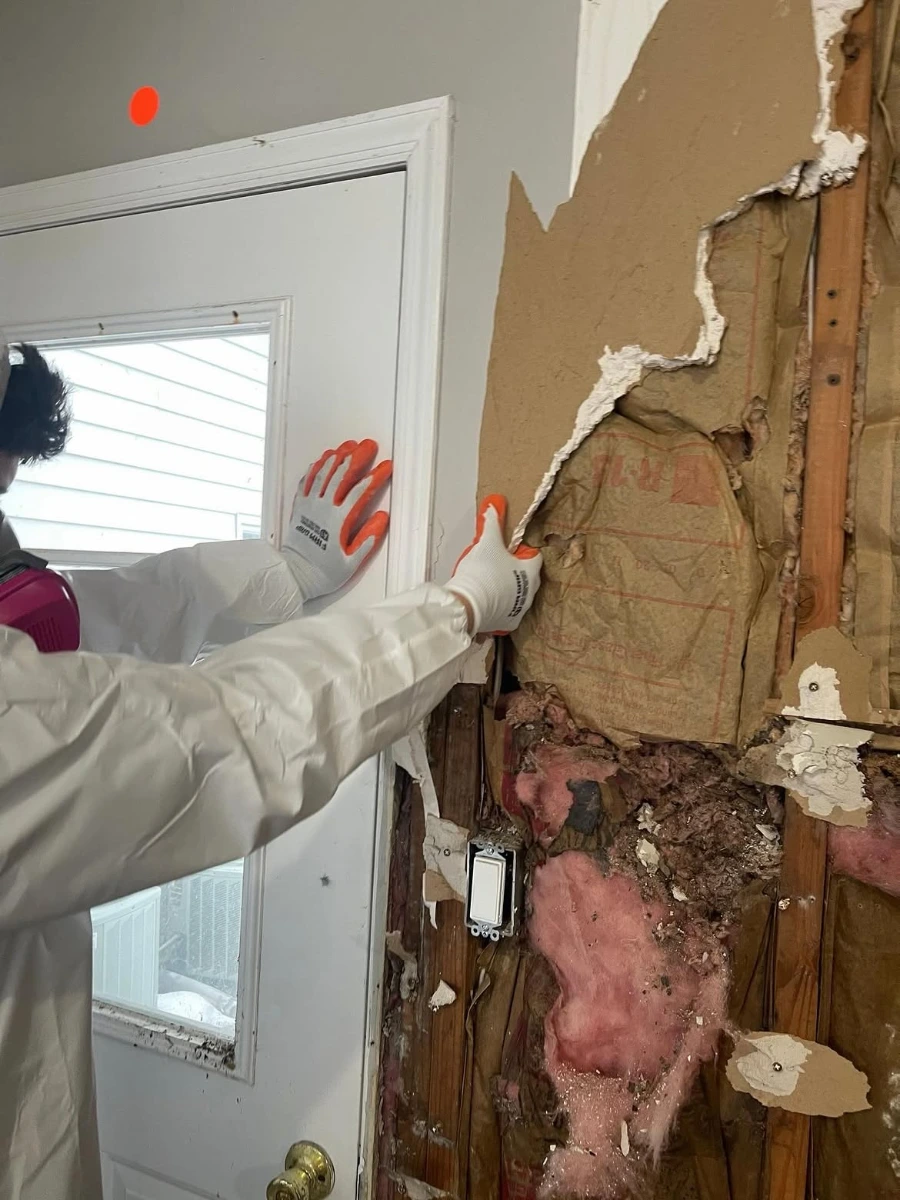 Technician inspecting water-damaged insulation and framing behind a Minneapolis home's wall